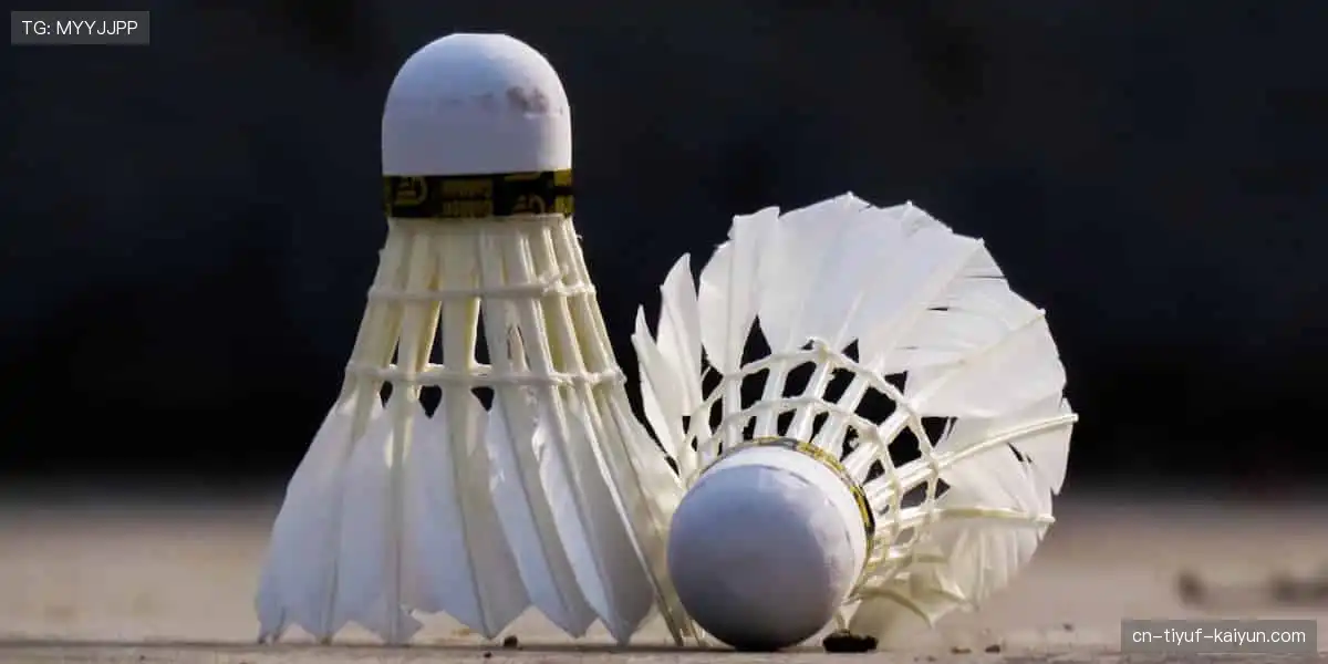 正版周边，情怀加码！👕